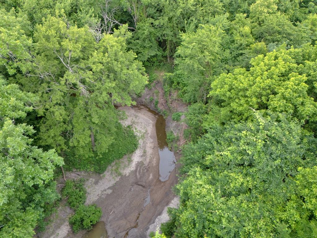 Tract 9 County Road 2158 Property Photo 13
