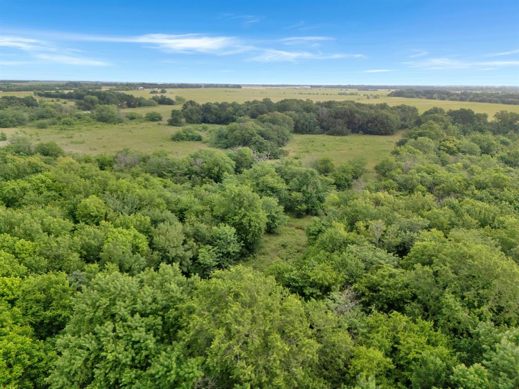 Tract 9 County Road 2158 Property Photo 14