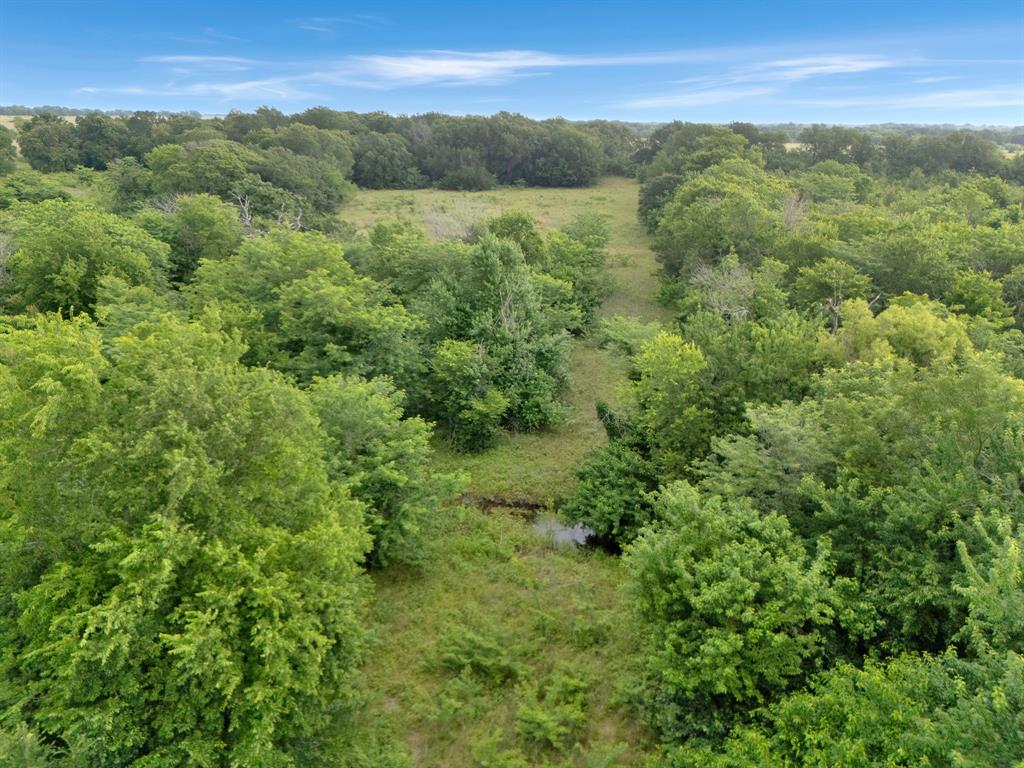 Tract 9 County Road 2158 Property Photo 15