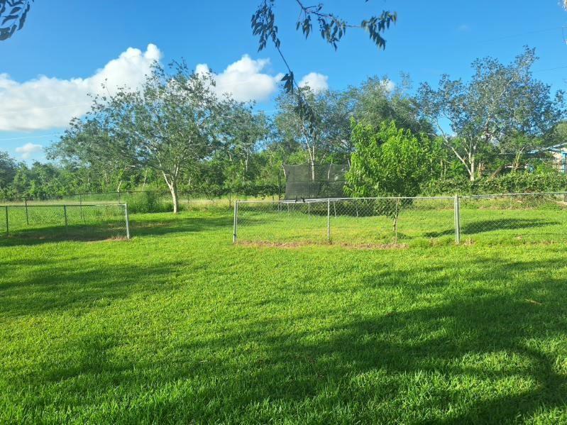225 Linney Lane Property Photo 24