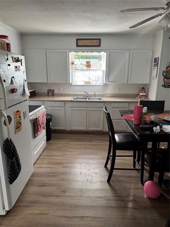 4527 Fm 219 Property Photo 11