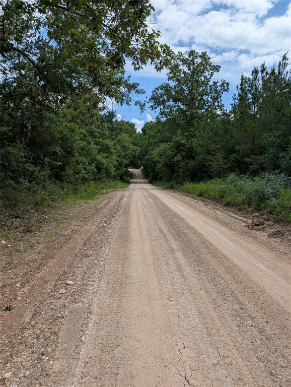 Lot 1 County Road 4507 Property Photo 2