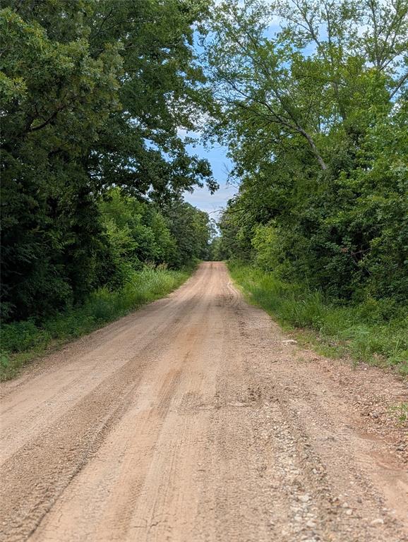 Lot 1 County Road 4507 Property Photo 3