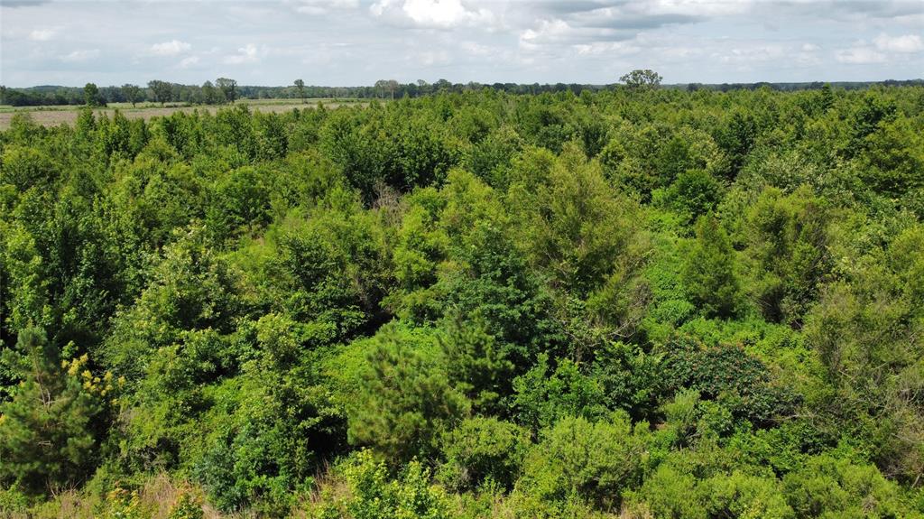 Lot 1 County Road 4507 Property Photo 5
