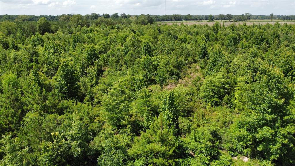 Lot 1 County Road 4507 Property Photo 6