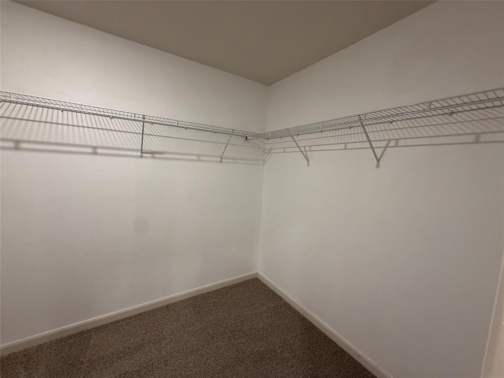 13608 Roosevelt Arch Drive Property Photo 19