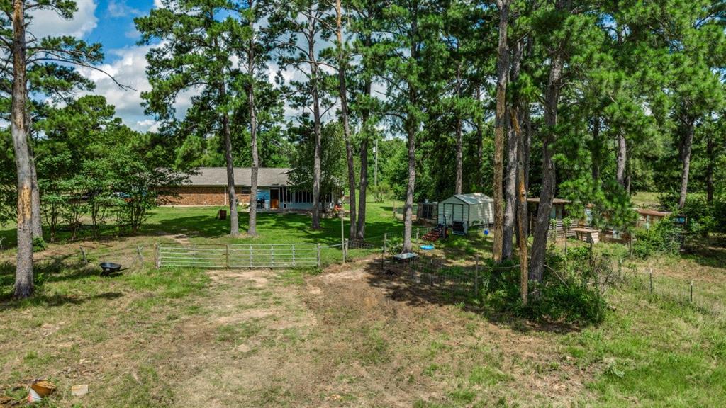683 Us Highway 84 Property Photo 1