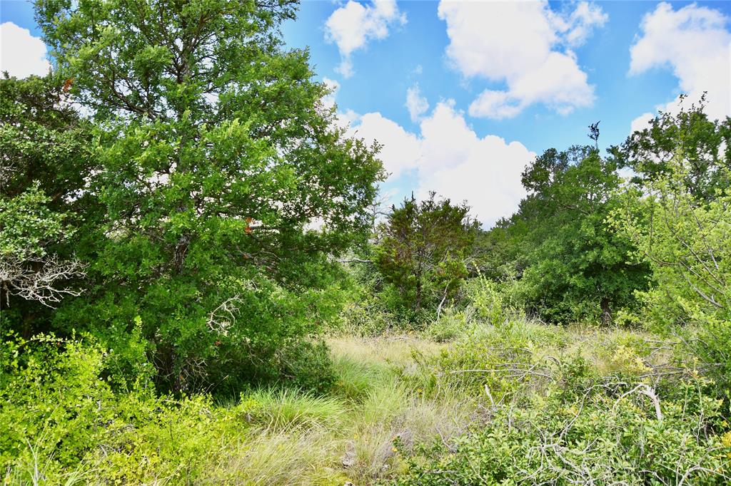 16967 Cr 290 Property Photo 38