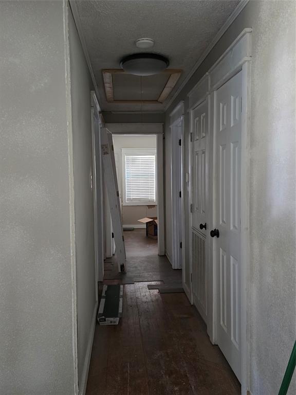 1523 Viosca Street Property Photo 15