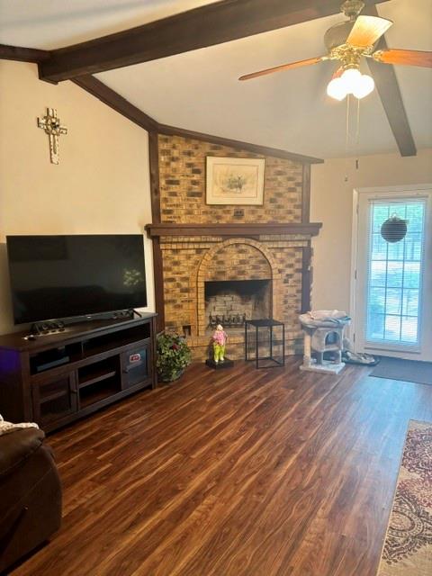 3912 Fm 2324 Property Photo 10