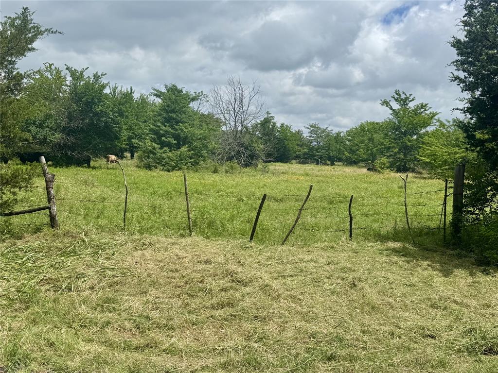 3 County Road 1104 Property Photo 17