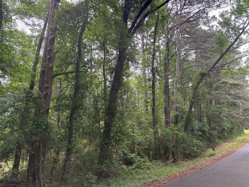 0 Diamond T Road Property Photo 2