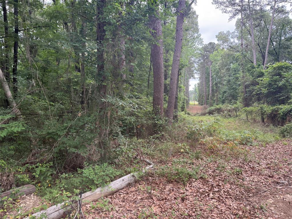 0 Diamond T Road Property Photo 3