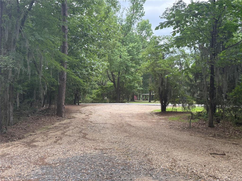 0 Diamond T Road Property Photo 4