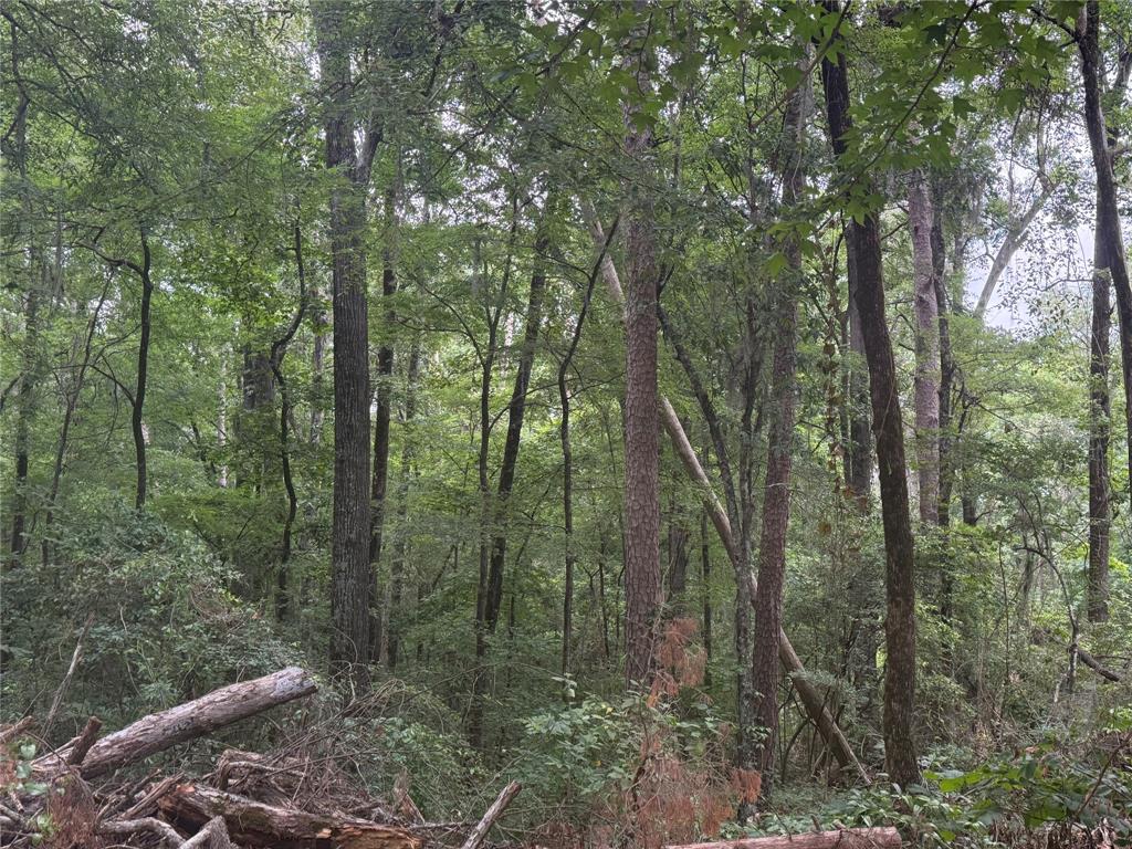 0 Diamond T Road Property Photo 5