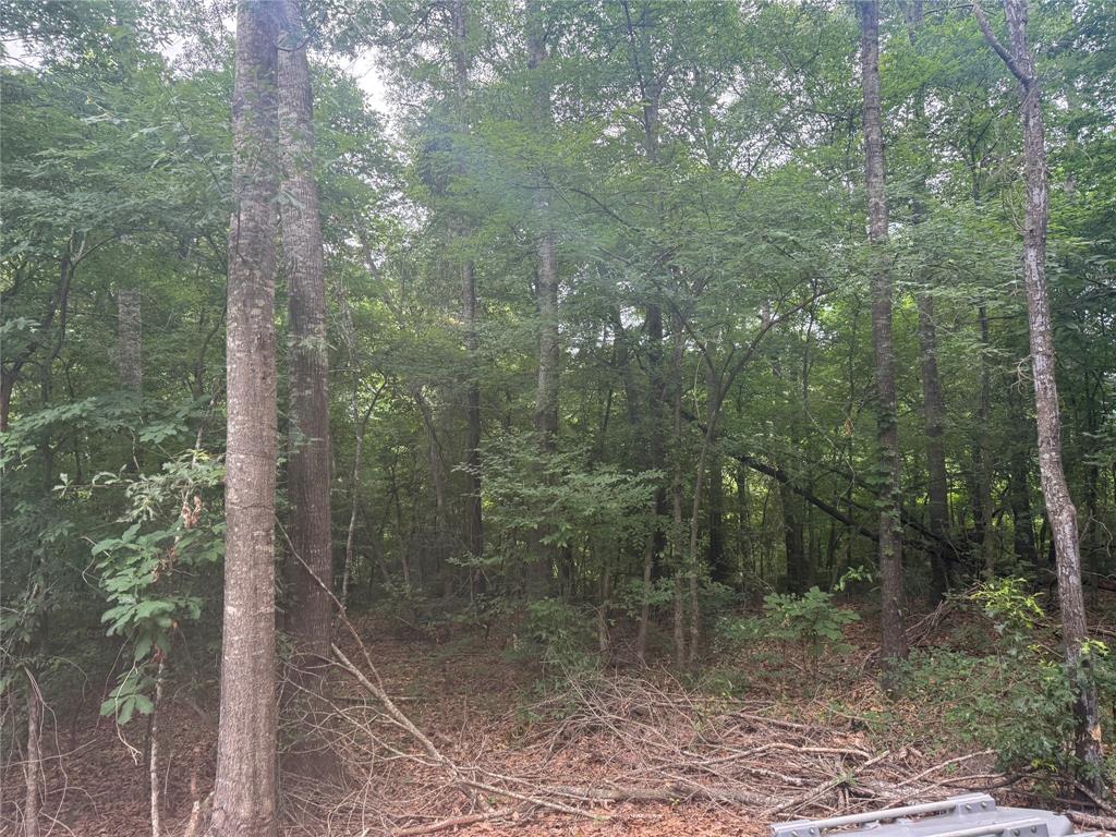 0 Diamond T Road Property Photo 7