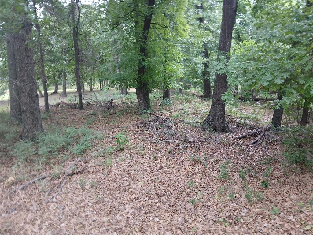120 Lariat Court Property Photo 6