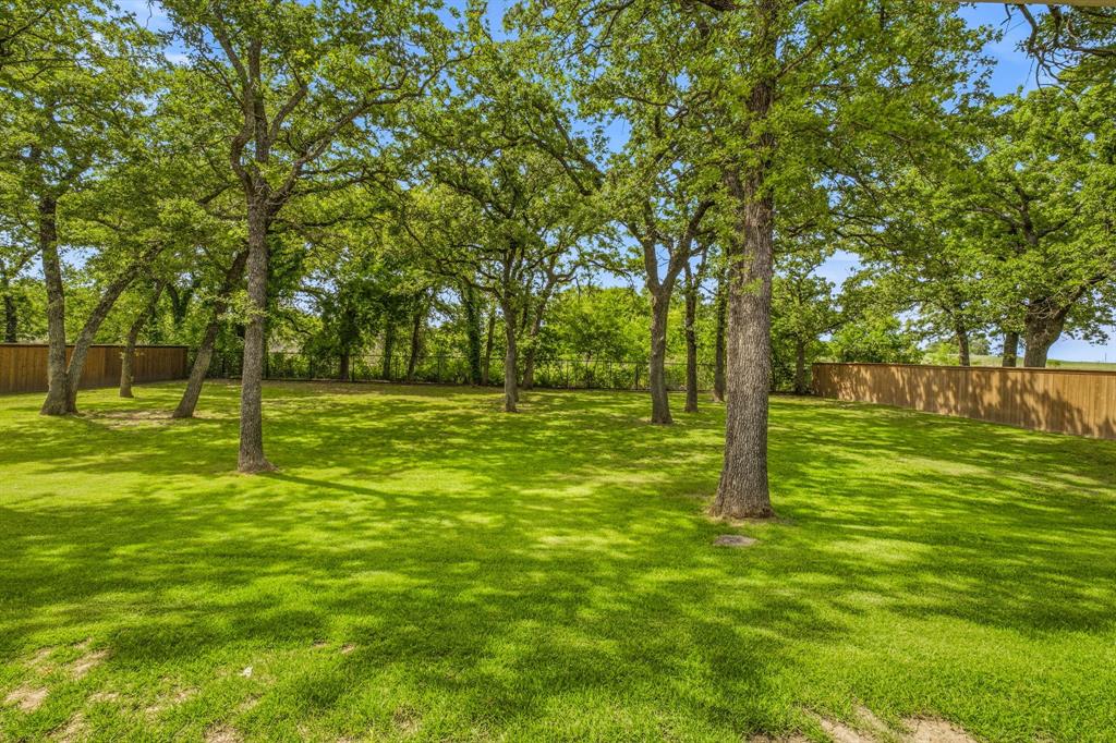 1085 Walking Horse Drive Property Photo 5