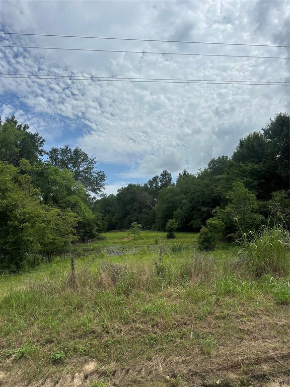 473 Fm 1365 Property Photo 3