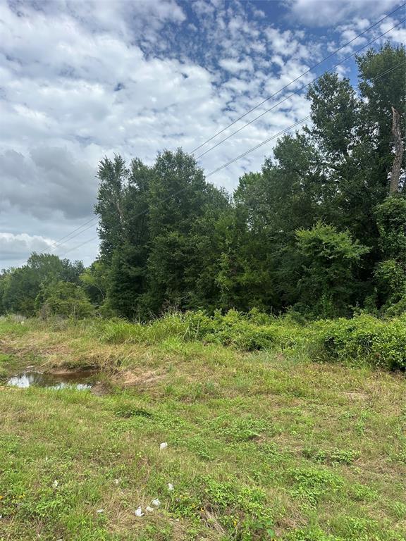 473 Fm 1365 Property Photo 4