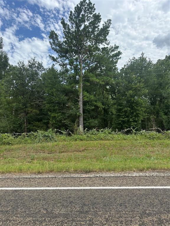 473 Fm 1365 Property Photo 6