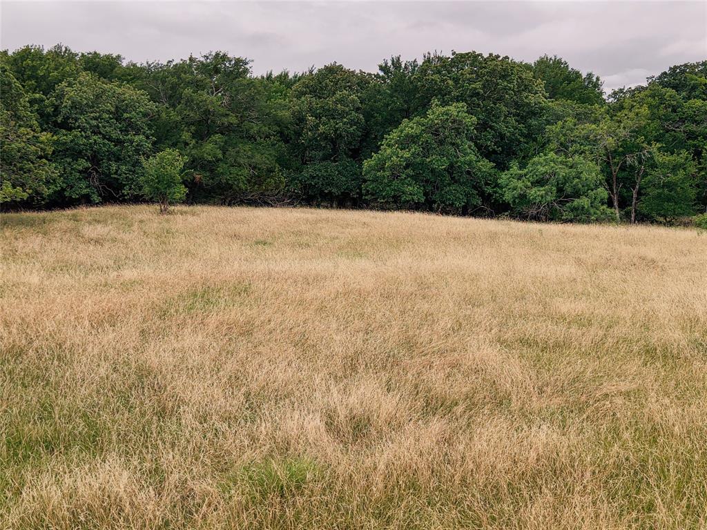 10405 Lipan Highway Property Photo 6