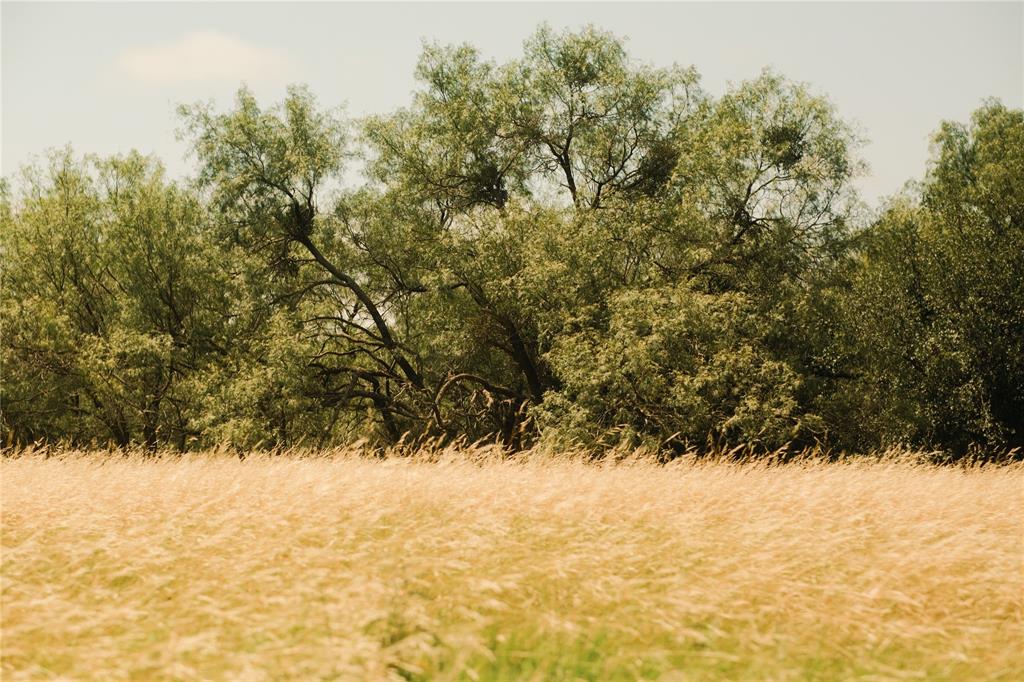 10405 Lipan Highway Property Photo 10