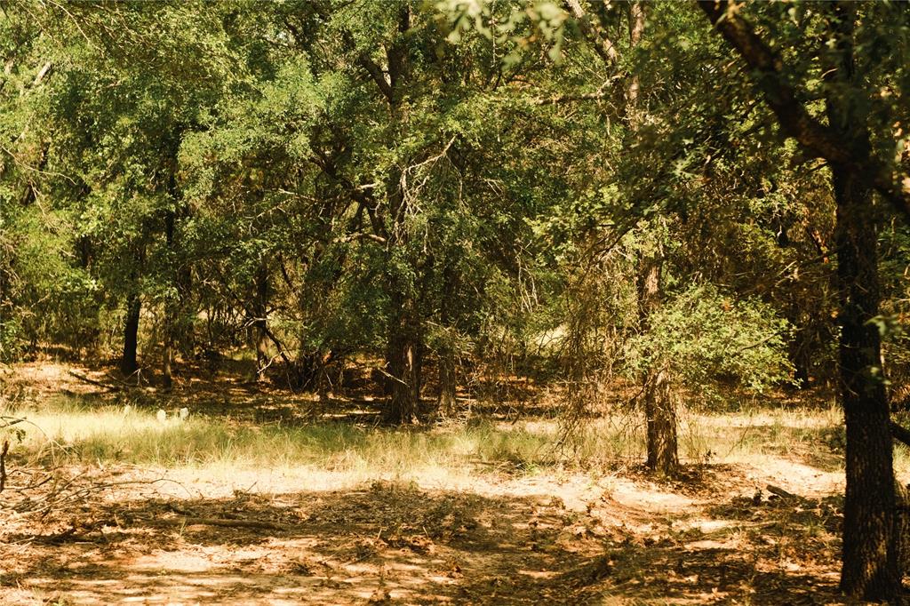10405 Lipan Highway Property Photo 12