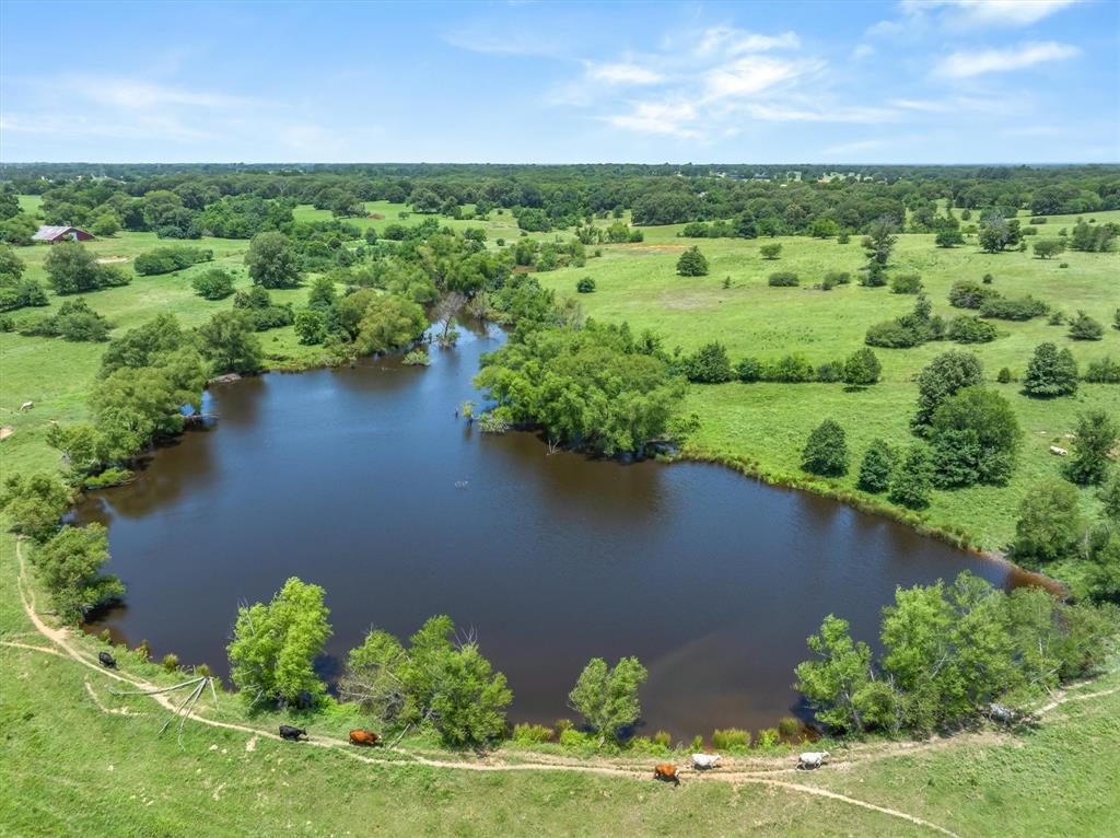 3300 Vz Cr 1903 Property Photo 29