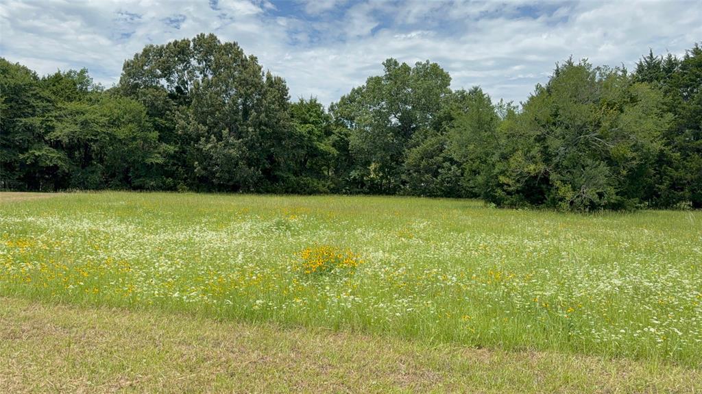3063 Vz County Road 3810 Property Photo 19