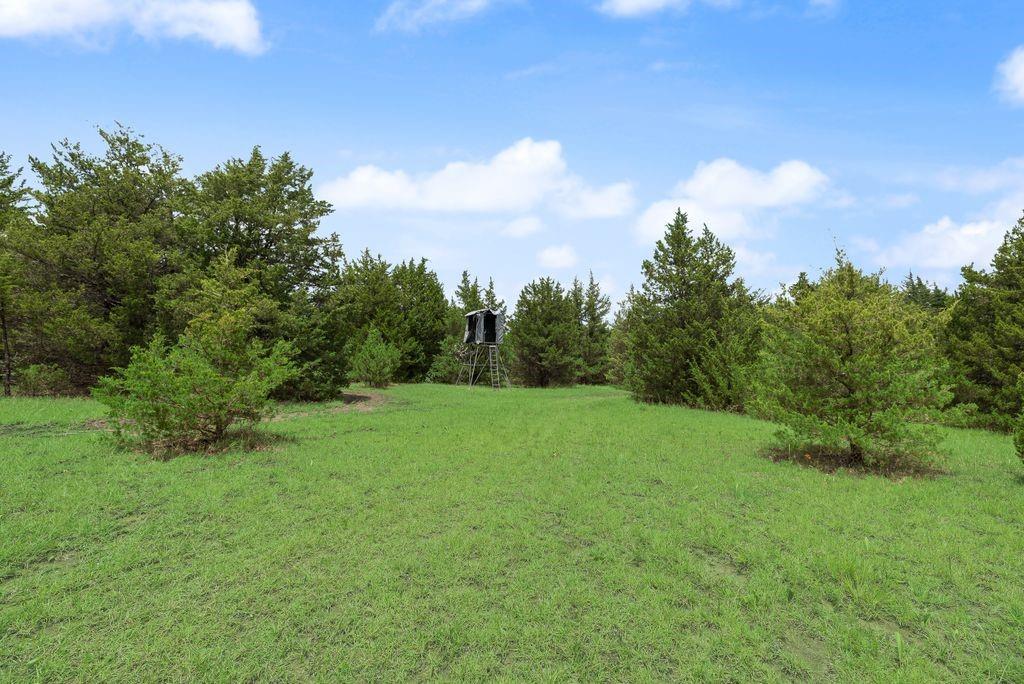 1070 County Road 3030 Property Photo 33