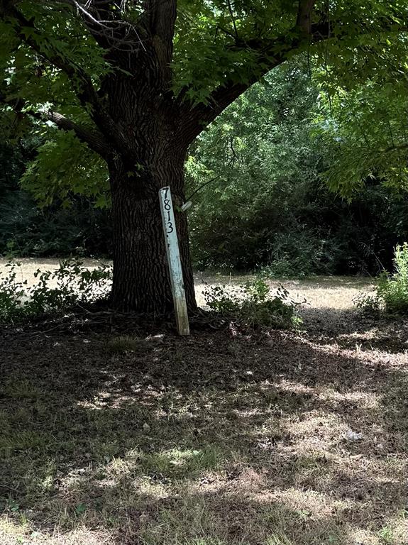 7813 Lowery Road Property Photo 2