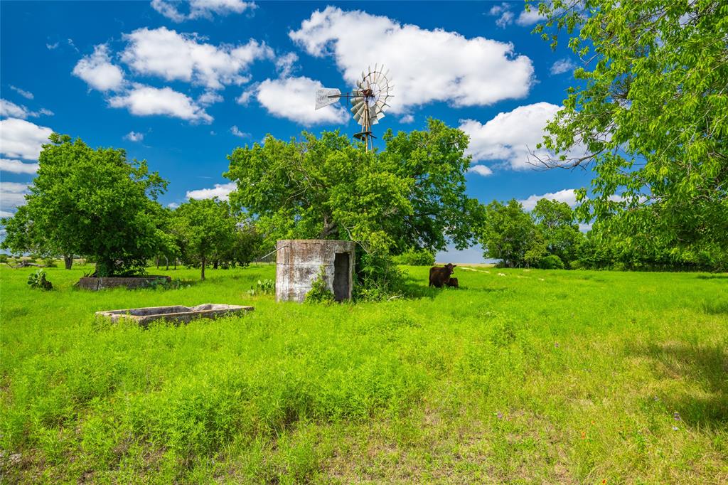 9750 Fm-243 Property Photo 15