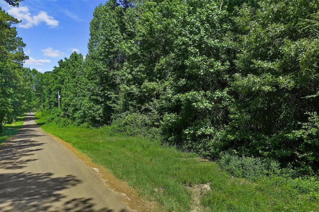 Tbd County Rd 3363 Tract C Property Photo 1