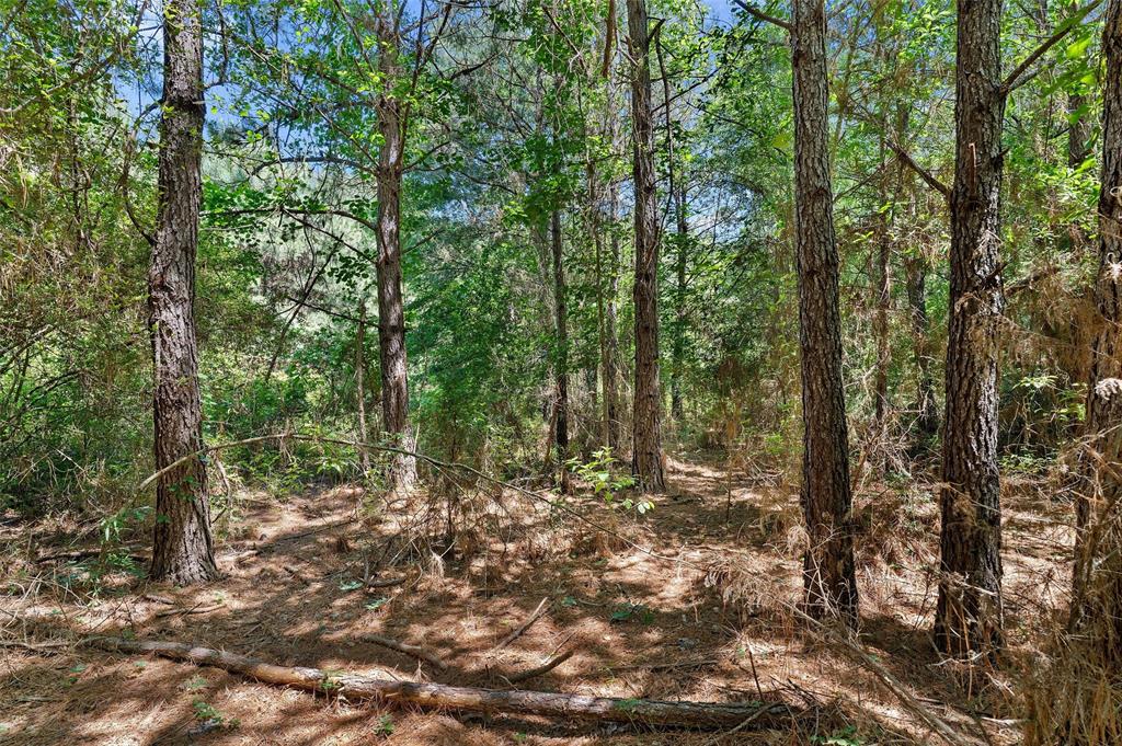 Tbd County Rd 3363 Tract D Property Photo 12