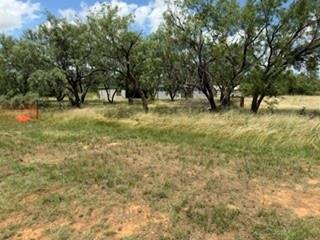 6433 Pvt Rd 2101 Cove Property Photo 4