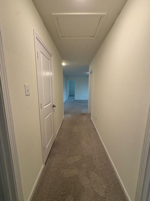 408 Forest Street Property Photo 17