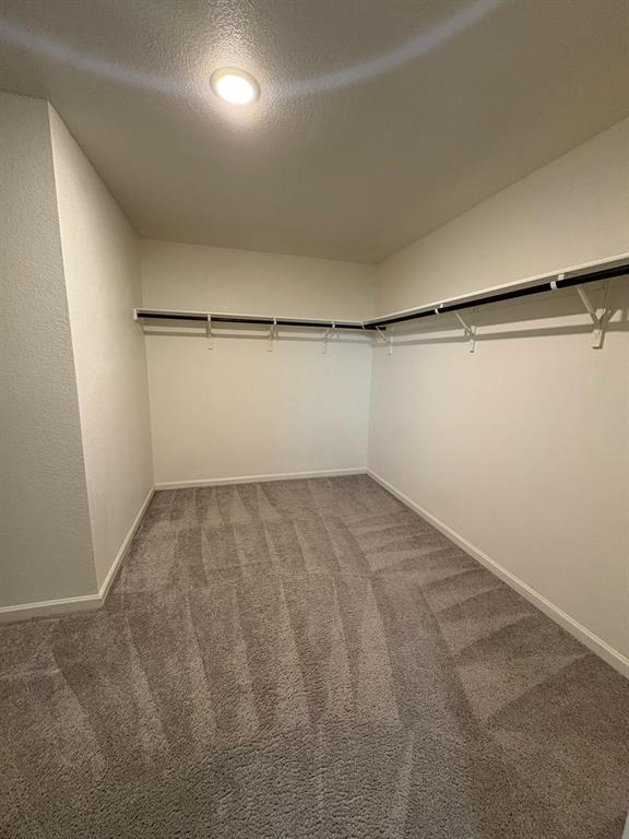 408 Forest Street Property Photo 24
