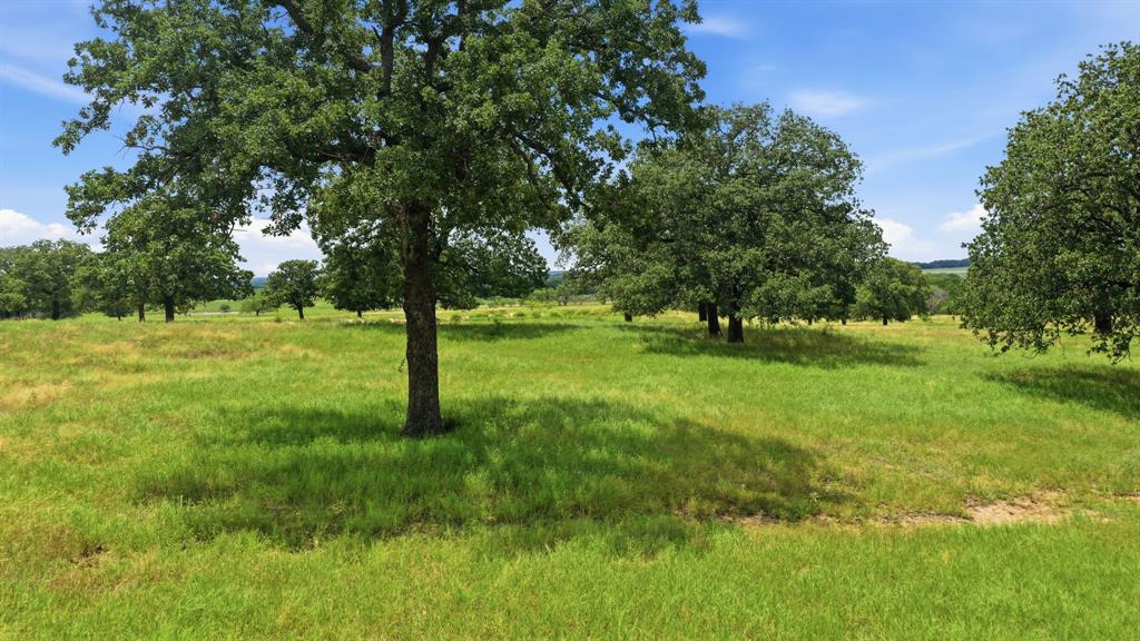 7900 Highway 6 Property Photo 36