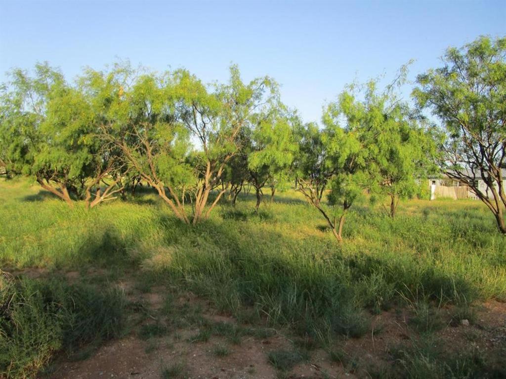 840 Cherry Street Property Photo 4
