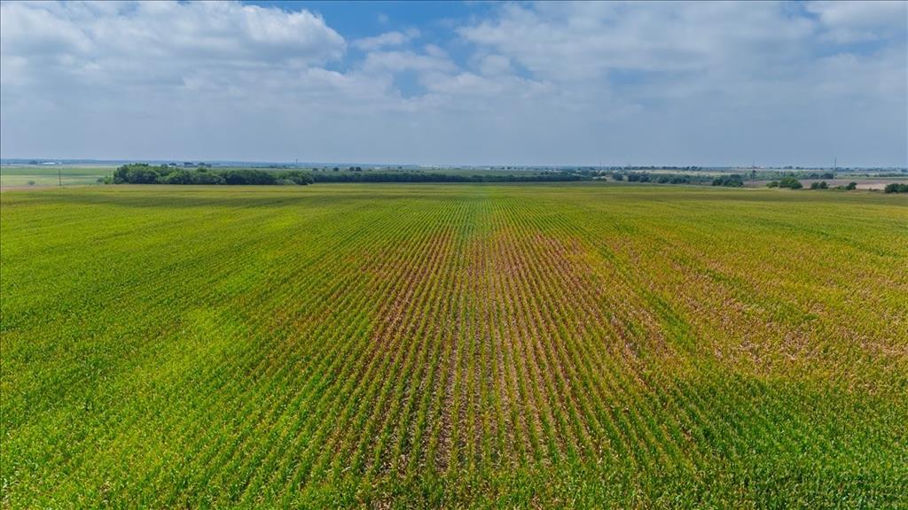Tbd St Hwy 81 Property Photo 6