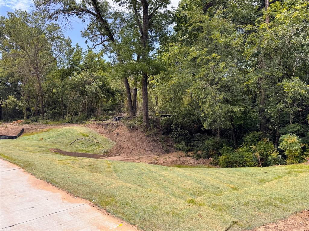 Lot 15 Tbd Pardise Cove Road Property Photo 9