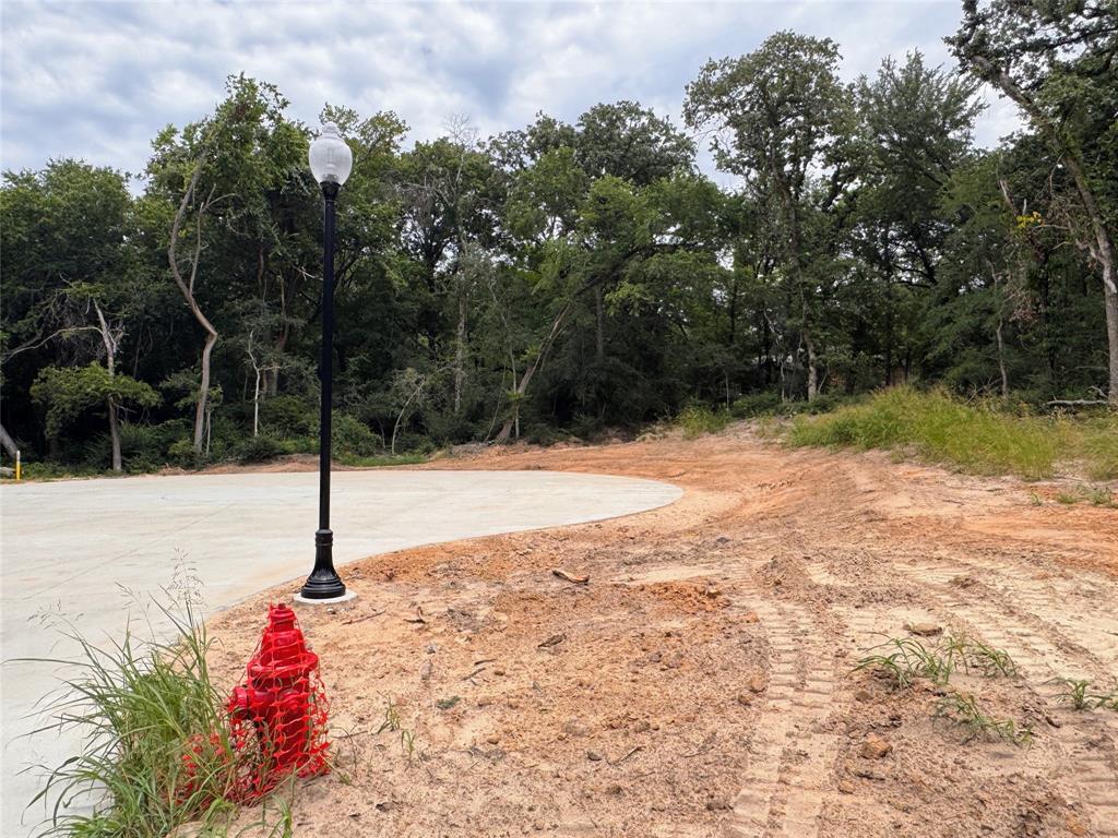 Lot 15 Tbd Pardise Cove Road Property Photo 10