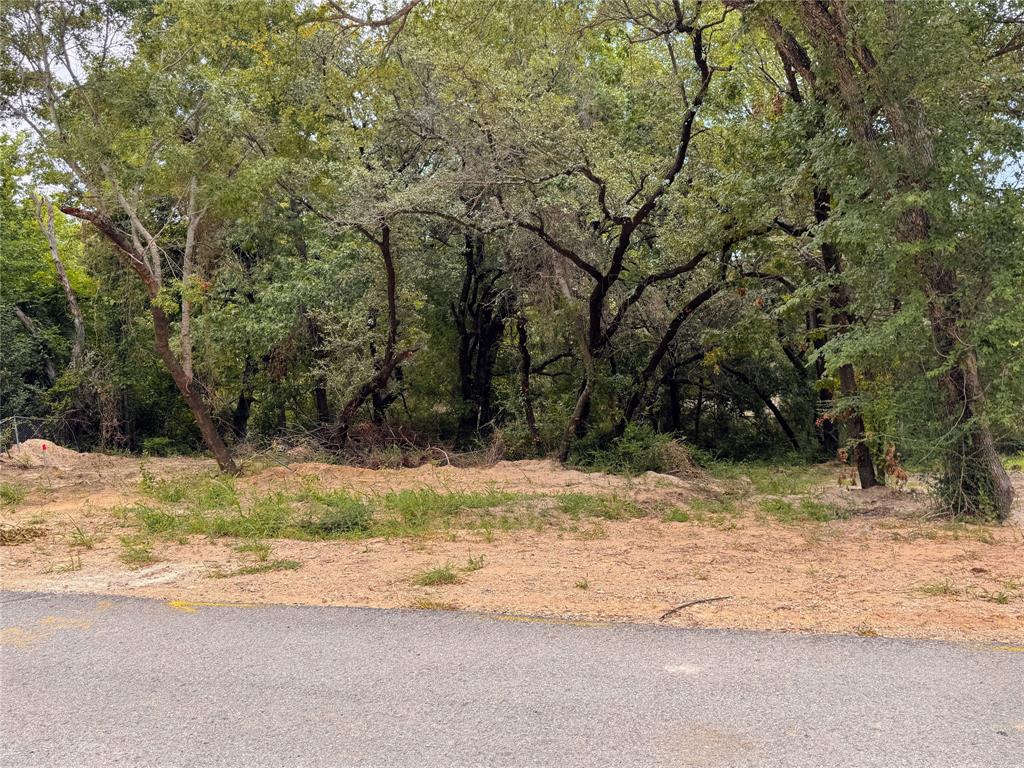 Lot 17 Tbd Pardise Cove Road Property Photo 4