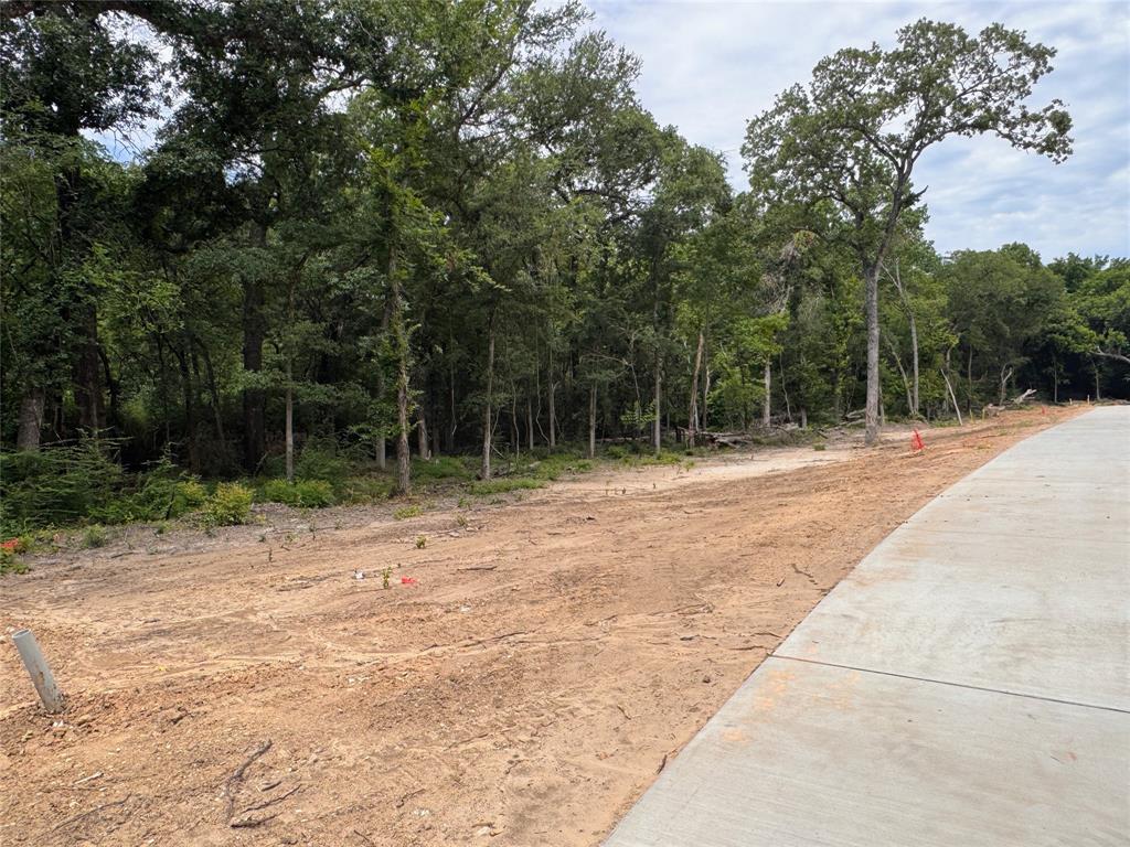 Lot 17 Tbd Pardise Cove Road Property Photo 5
