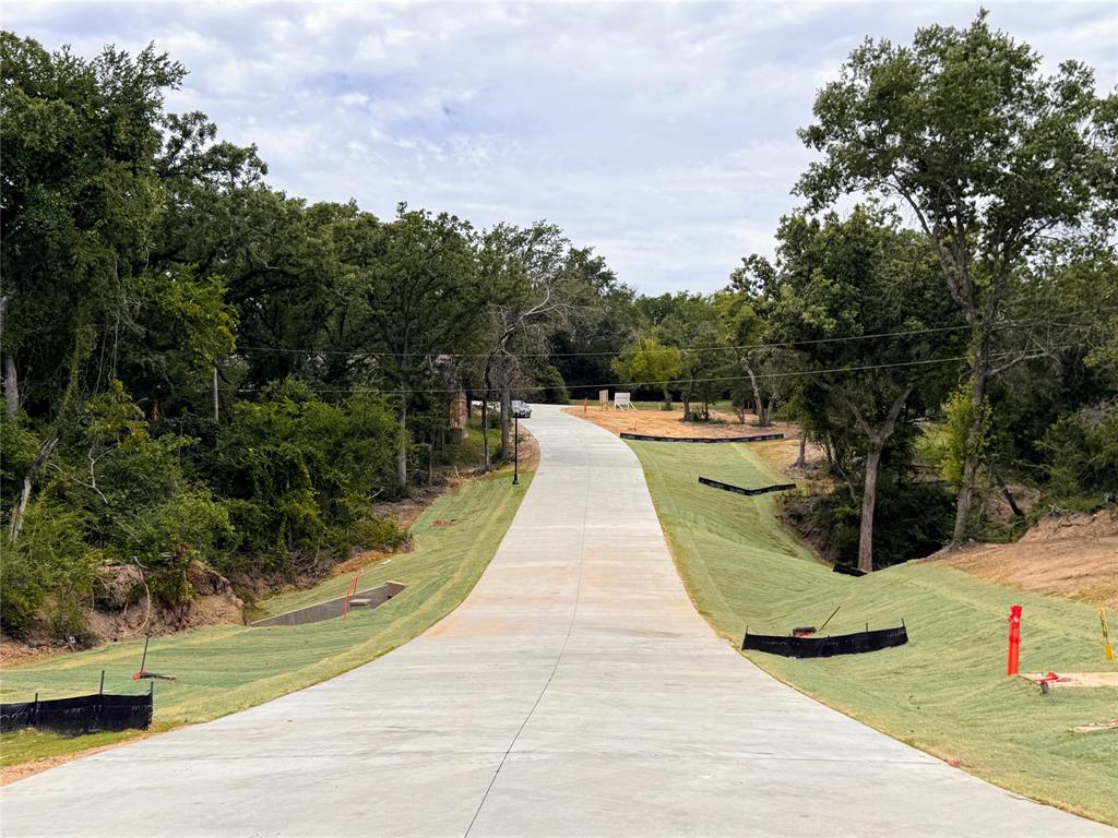 Lot 17 Tbd Pardise Cove Road Property Photo 7