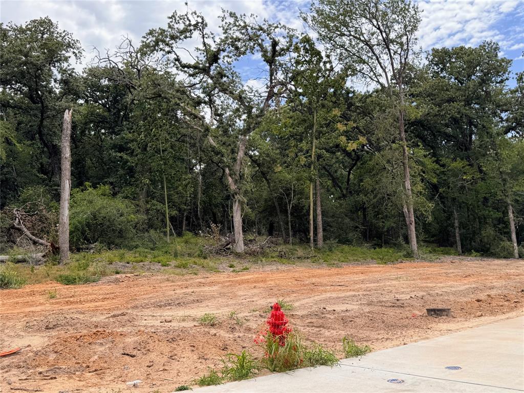 Lot 17 Tbd Pardise Cove Road Property Photo 12