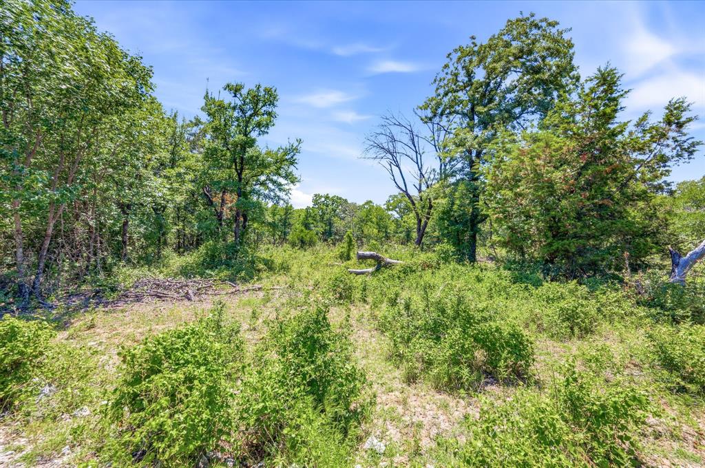 Tbd Fm 1658 Property Photo 10