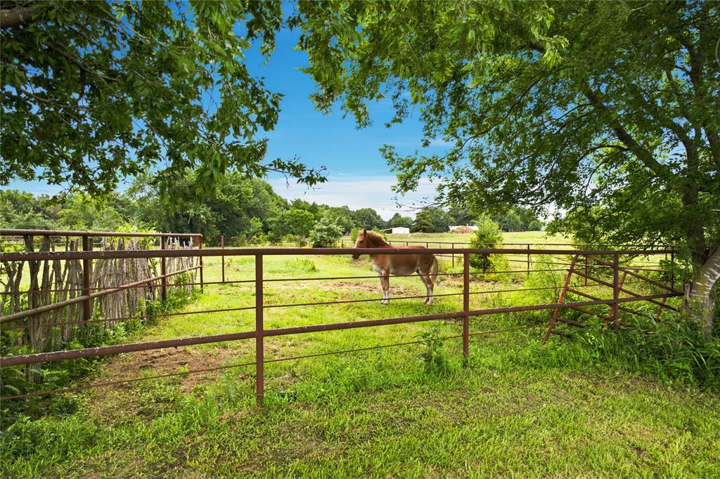 13017 E Fm 273 Property Photo 31