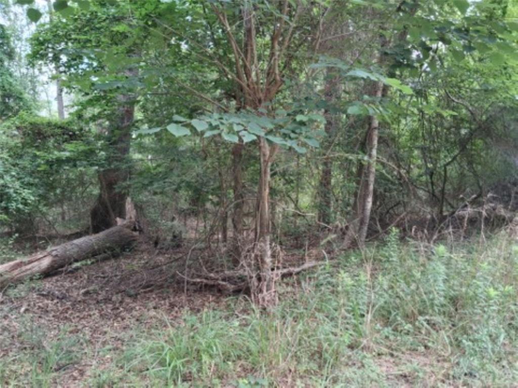 Tbd Dogwood Drive Property Photo 1